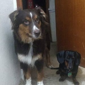 Meet your Posher, Heidi